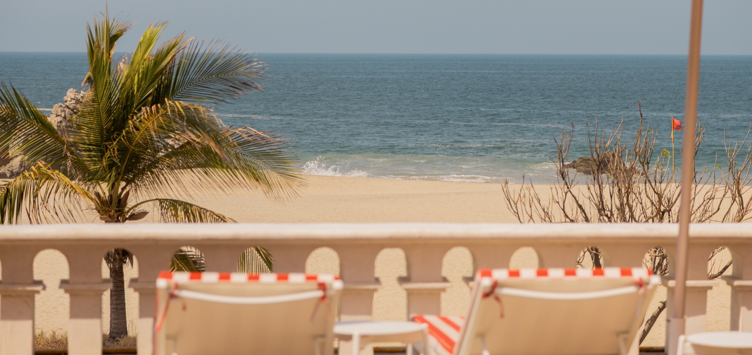 Terraza con camastros y una palmera frente a la playa de Zicatela